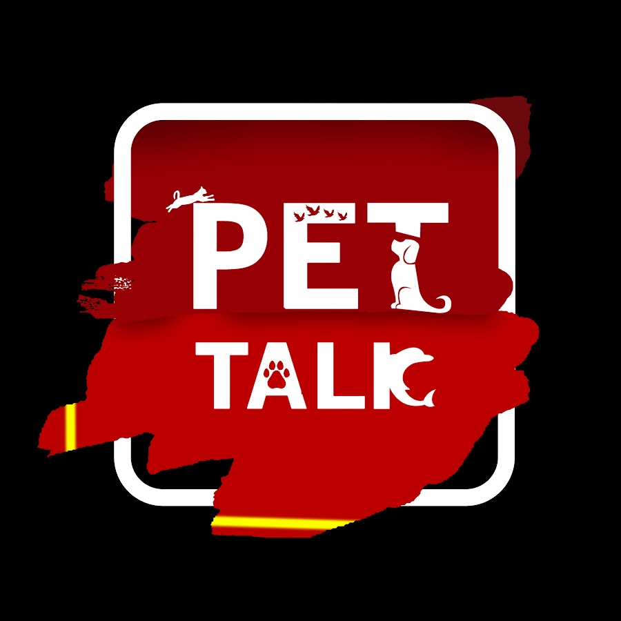 Pet Talk